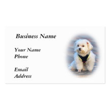 Young Puppy on a Bench Business Card Template