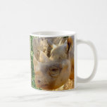 Young Rhino Coffee Mugs