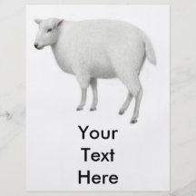 Young Sheep Flyer