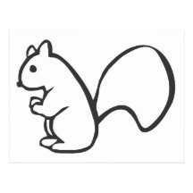 Young Squirrel in Black and White Sketch Post Card