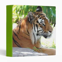 Young Tiger Binder