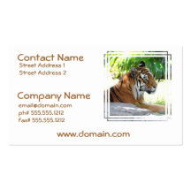 Young Tiger Business Cards