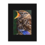 Young Voice (baby Robin) ACEO Art Trading Card Post Card