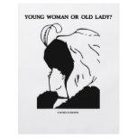 Young Woman Or Old Lady? (Optical Illusion) flyers
