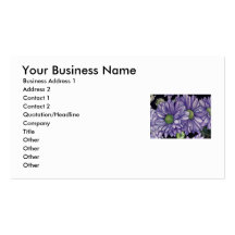 Your Business Name, Business Ad... Business Card