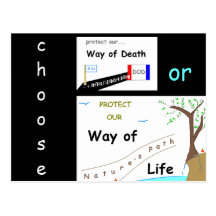 Your Choice Postcard