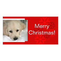 Your Dog Photo Snowflake Christmas Card Photo Greeting Card