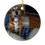 Your doggy on an ornament