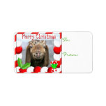 YOUR GOAT PHOTO Goat Christmas Gift Tag labels