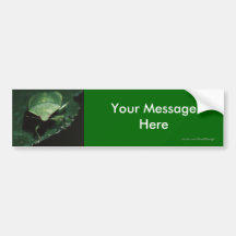 Your Message Bumper Sticker