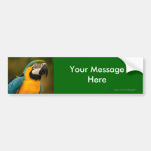 Your Message Bumper Sticker