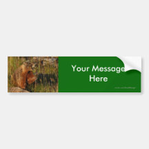 Your Message Bumper Sticker