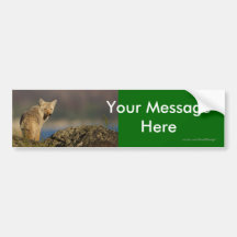 Your Message Bumper Sticker
