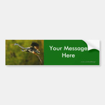 Your Message Bumper Stickers