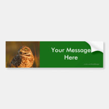 Your Message Bumper Stickers