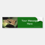 Your Message Bumper Stickers