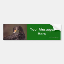 Your Message Bumper Stickers