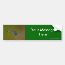 Your Message Bumper Stickers