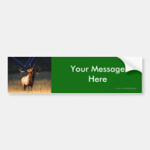 Your Message Bumper Stickers