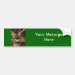 Your Message Bumper Stickers