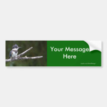Your Message Bumper Stickers