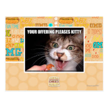 Your Offering Pleases Kitty Postcard