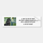 Your Photo! Best Friend Bernese Mountain Dog Mix Bumper Stickers