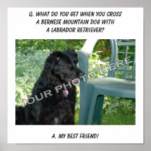 Your Photo! Best Friend Bernese Mountain Dog Mix Print