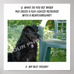 Your Photo! Best Friend Flat-Coated Retriever Mix Posters
