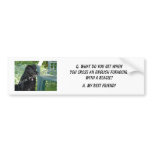 Your Photo Here! Best Friend English Foxhound Mix Bumper Stickers