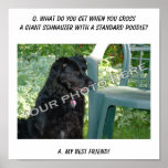 Your Photo Here! Best Friend Giant Schnauzer Mix Poster