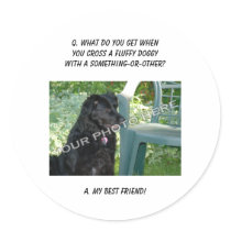 Your Photo Here! Best Friend Mutt Mixed Breed Dog Round Stickers