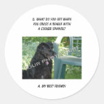 Your Photo Here! My Best Friend Beagle Mix Stickers
