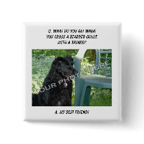 Your Photo Here! My Best Friend Bearded Collie Mix Button