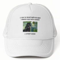 Your Photo Here! My Best Friend Bearded Collie Mix Mesh Hats