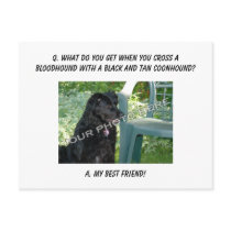 Your Photo Here! My Best Friend Bloodhound Mix Postcards