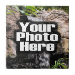 Your Photo on a Ceramic Tile, Custom Picture Tiles tiles