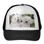Your Photo On A Hat
