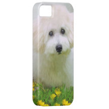 Your Photo On iPhone 5 iPhone 5 Case