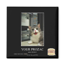 Your Prozac Magnets