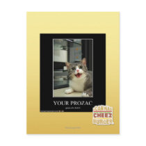 Your Prozac Post Cards
