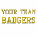 Your Team Name Badgers Embroidered Track Jacket