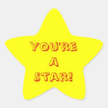 You're A Star Star Stickers
