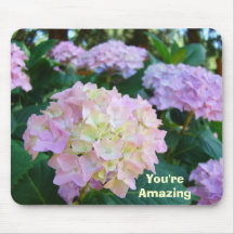 You're Amazing! mousepad gifts Pink Hydrangeas