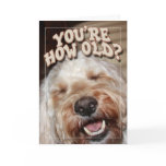 You're How Old? Greeting Cards