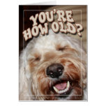 You're How Old? Card