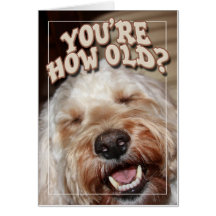 You're How Old? Card