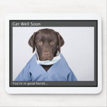 You're in the good hands of Dr Buzz