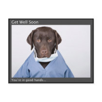 You're in the good hands of Dr Buzz