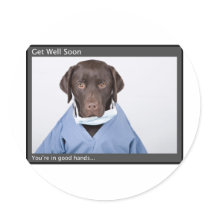 You're in the good hands of Dr Buzz